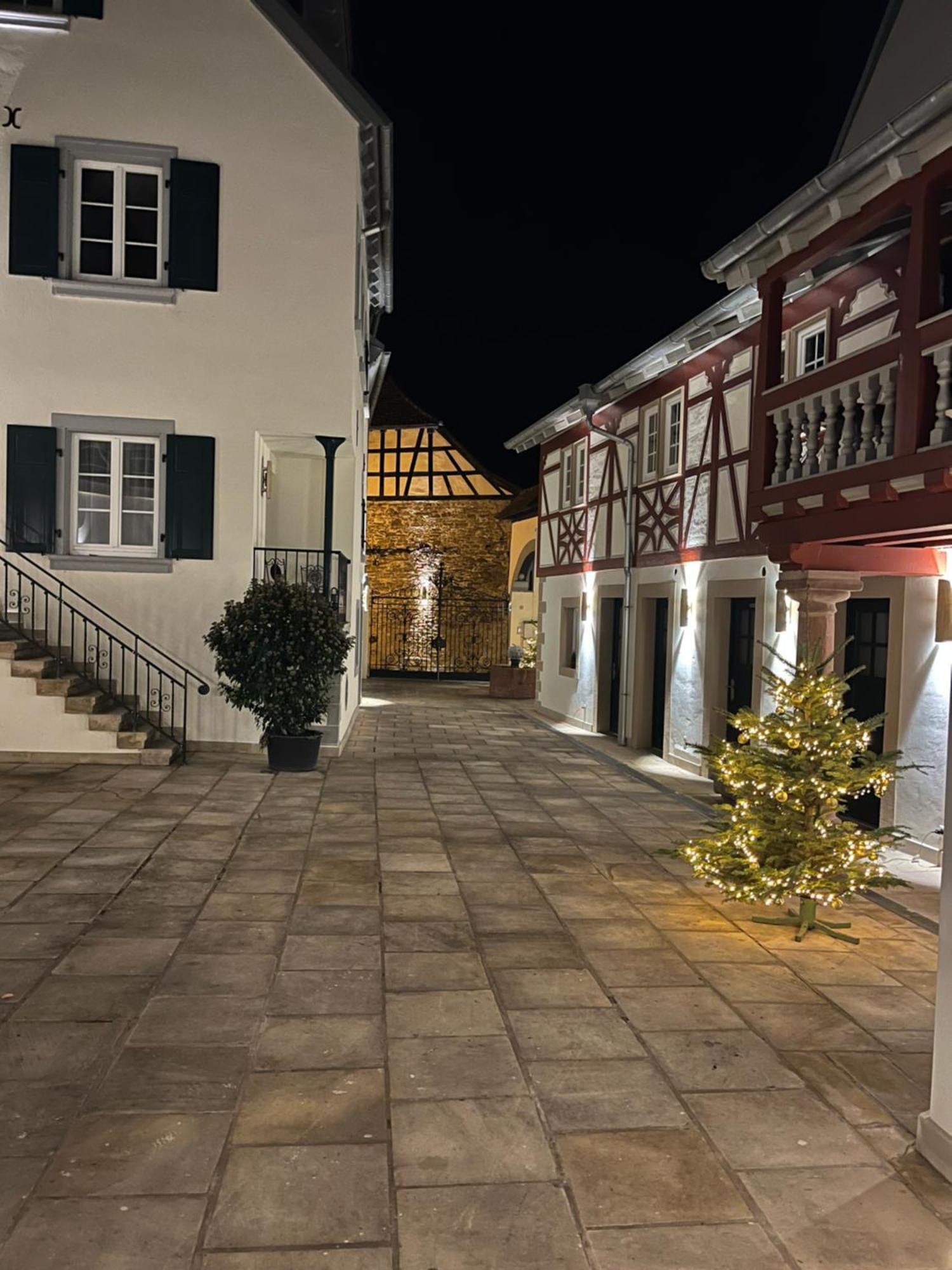 Karlbacher Domizil Ferienwohnungen Гроскарлбах Экстерьер фото